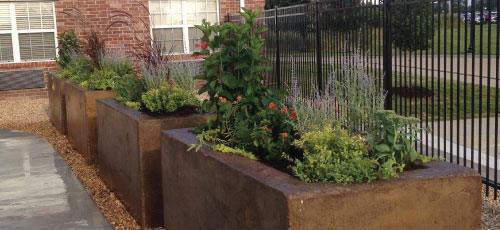 landscape design firm